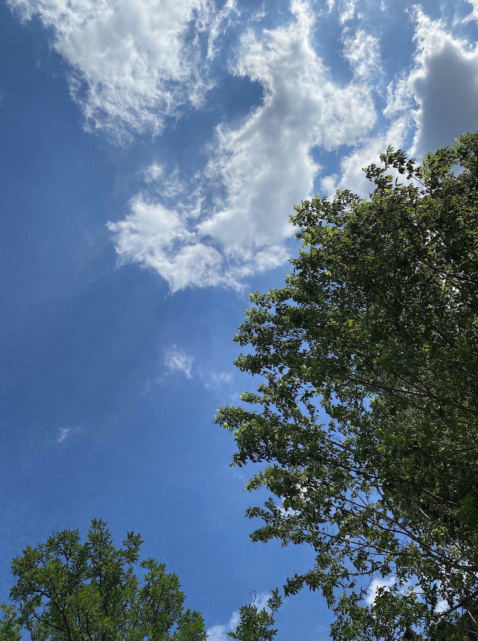 Blauer Himmel